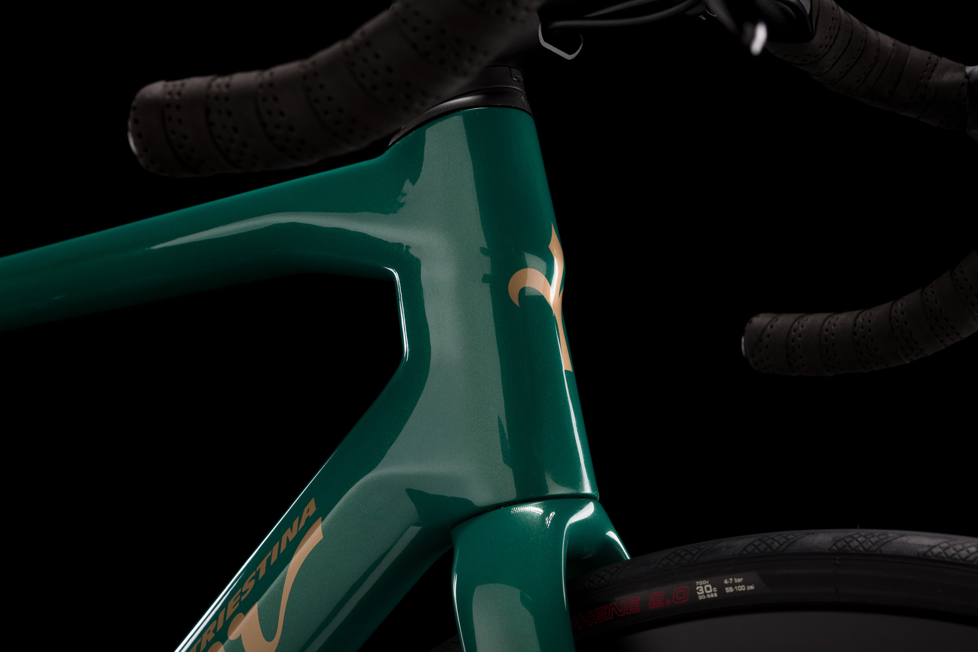 Wilier Triestina Garda 105 SWR50 L - obrazek 2