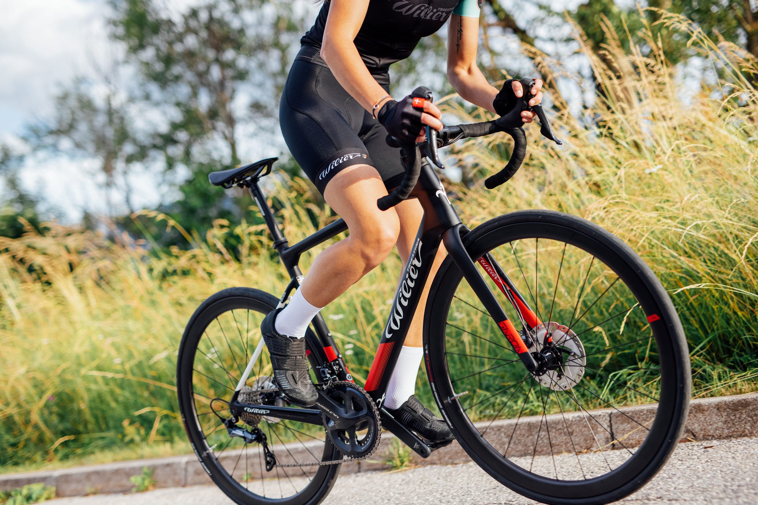 Wilier Garda Disc Rival koła NDR38 - obrazek 4
