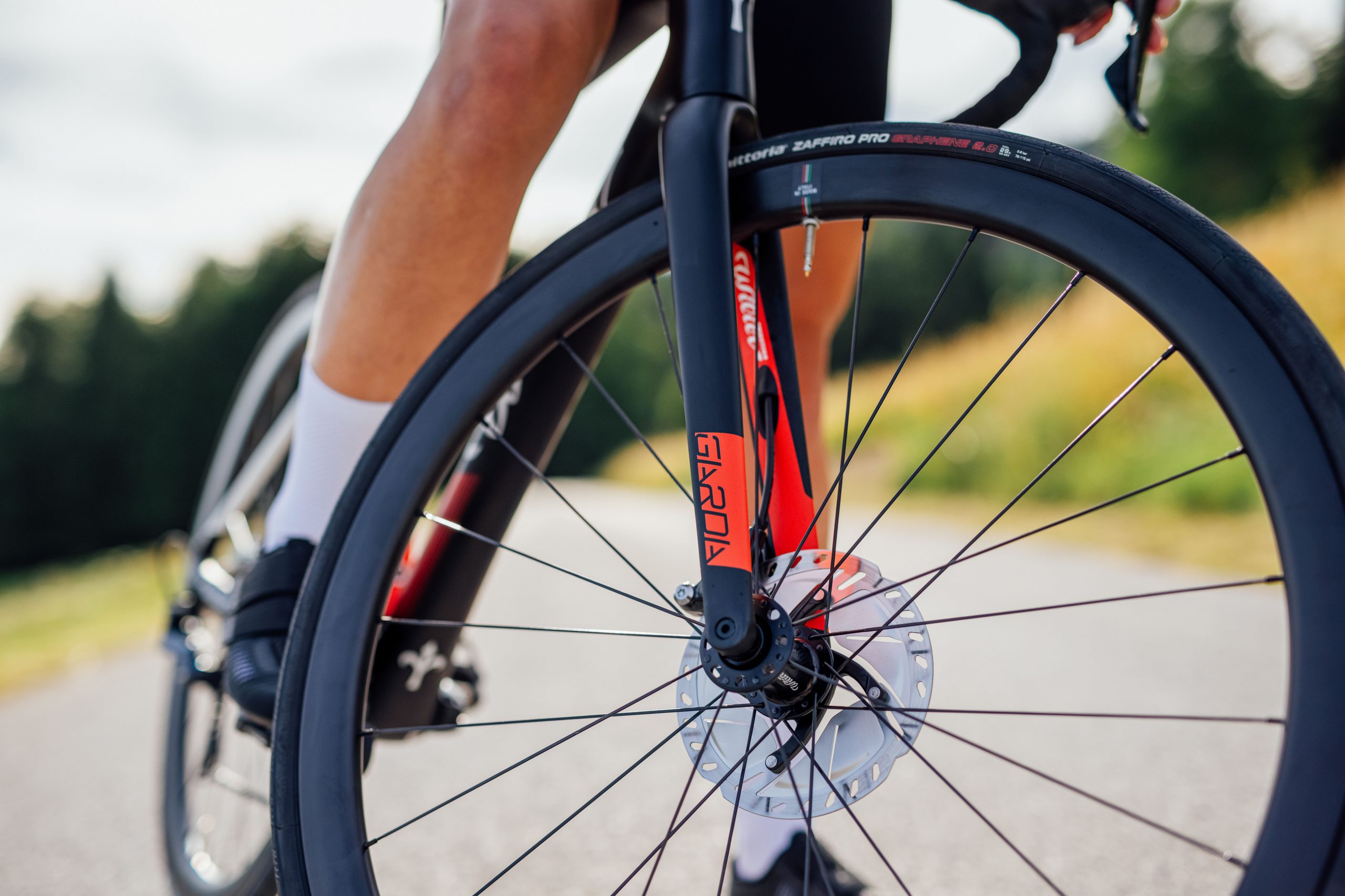Wilier Garda Disc Ultegra 11s koła NDR38 - obrazek 4
